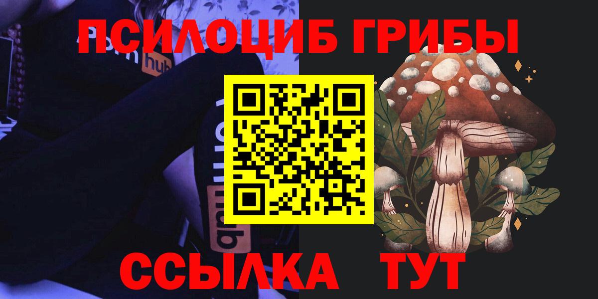 Галлюциногенные грибы Psilocybine cubensis  Вход с VPN  Балахна  Галлюциногенные грибы Magic Shrooms 